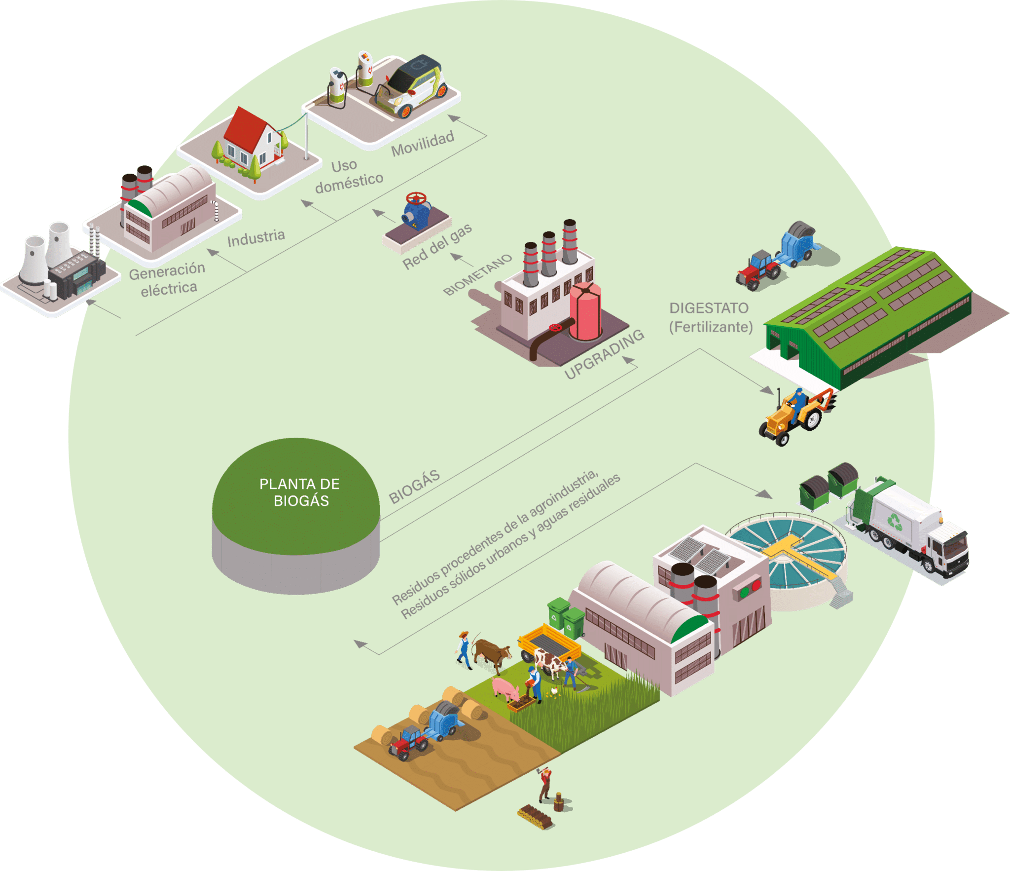 Circularidad Agroenergética