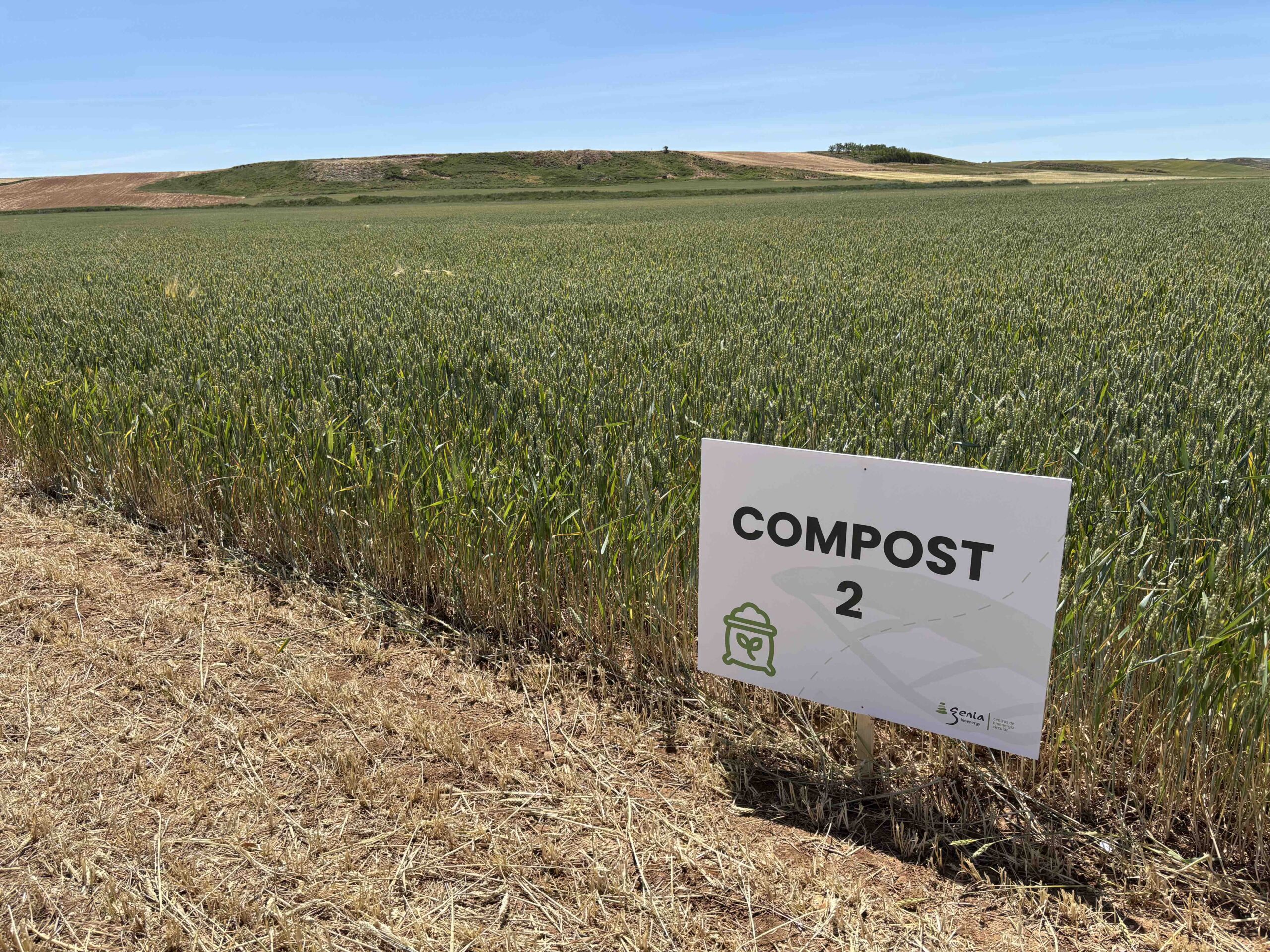 Un estudio de campo en Soria, promovido por Genia Bioenergy, avala el potencial del compost de digeridos como enmienda orgánica para cereal de invierno 4