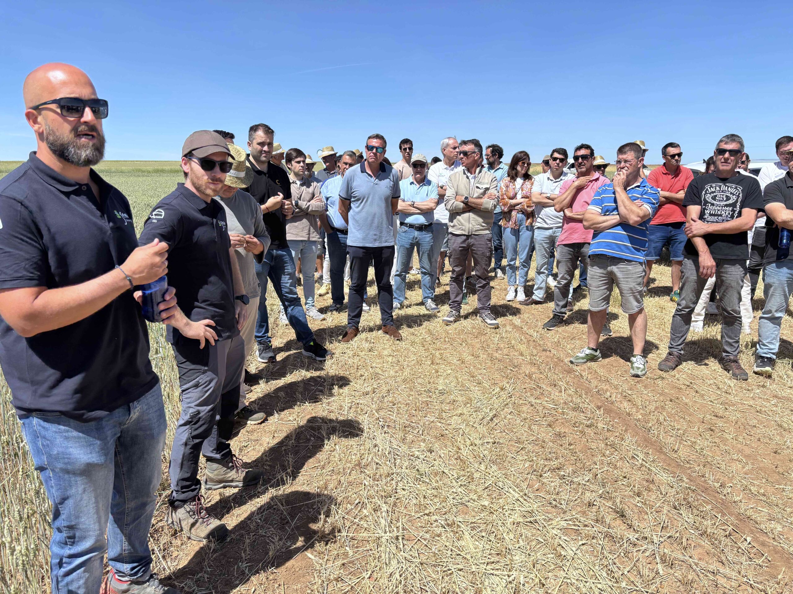 Un estudio de campo en Soria, promovido por Genia Bioenergy, avala el potencial del compost de digeridos como enmienda orgánica para cereal de invierno.